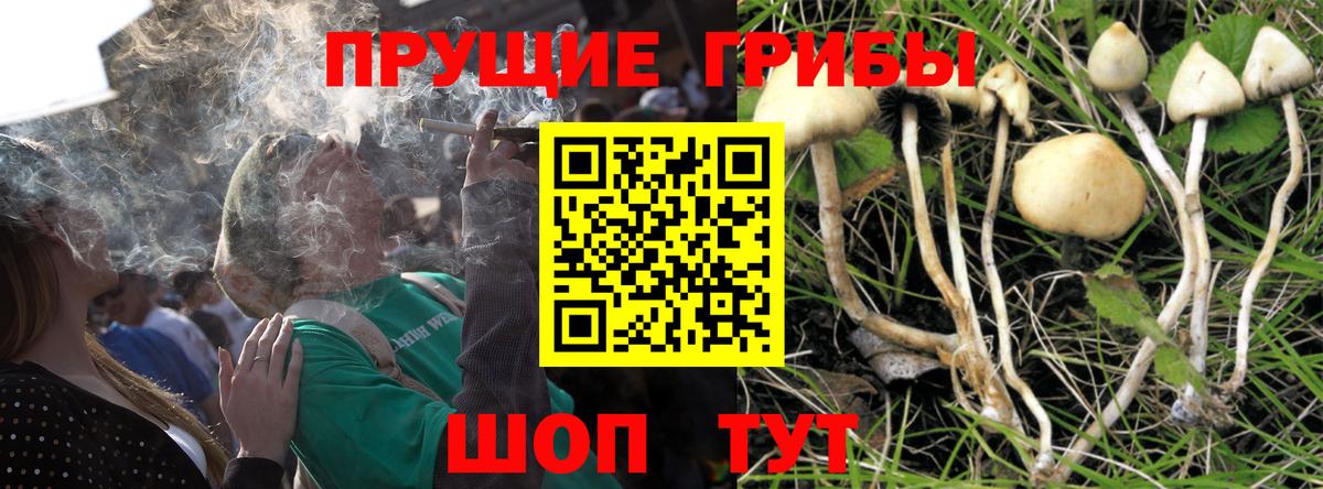 купить   Галлюциногенные грибы мухоморы  Вход с VPN  Галлюциногенные грибы Psilocybe  Жигулёвск 